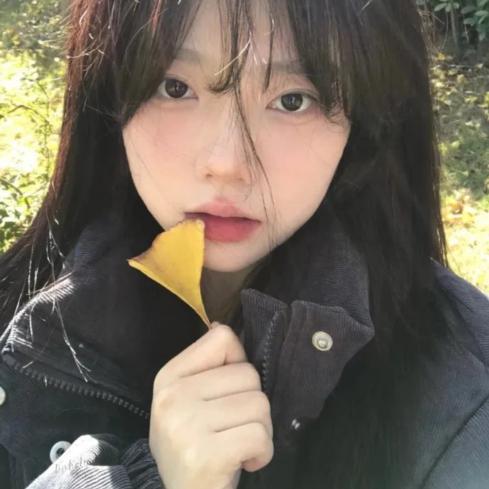 独占接班人